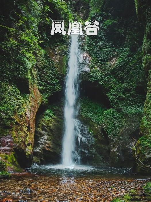˹1_dh_.jpg
