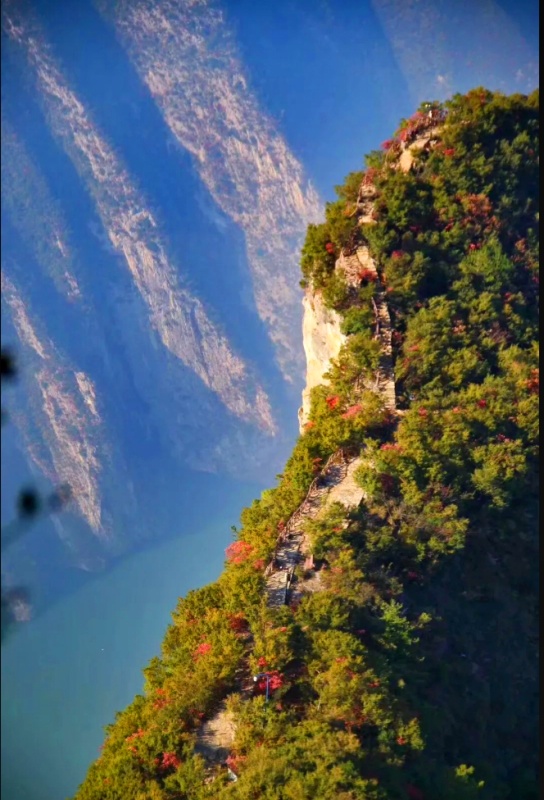 1761796965818034.jpg 三峡红叶65_dh.jpg