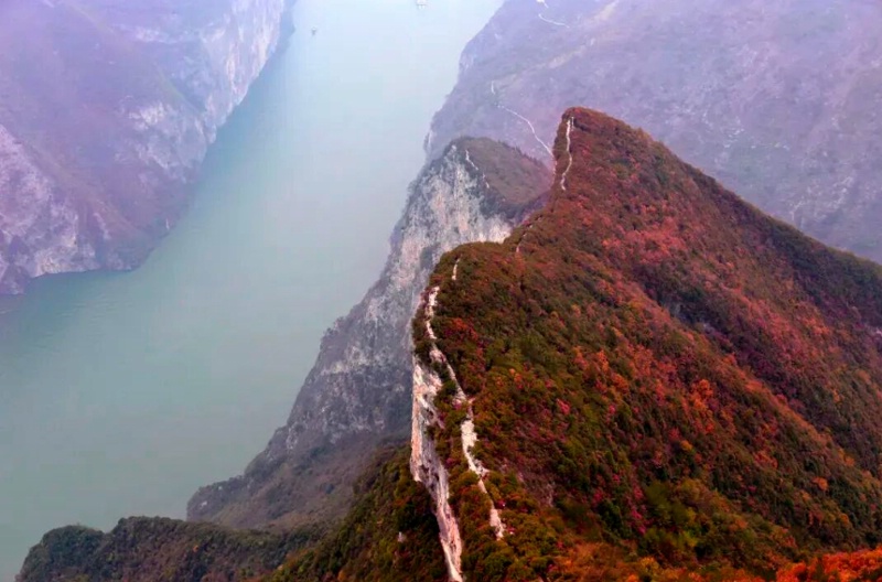 1761797020262752.jpg 三峡红叶67_dh.jpg