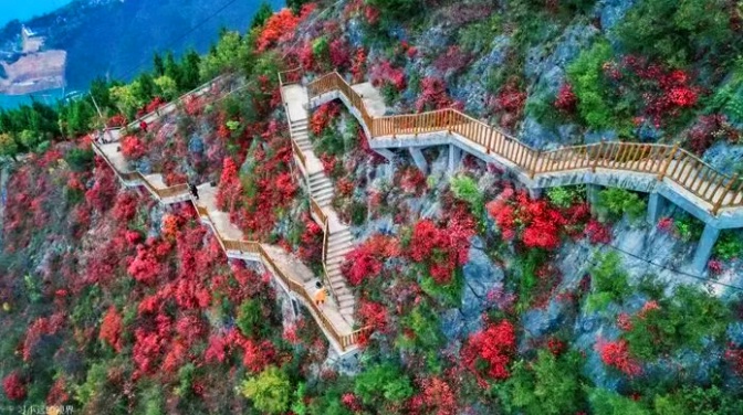 1761797047108603.jpg 三峡红叶36_dh.jpg