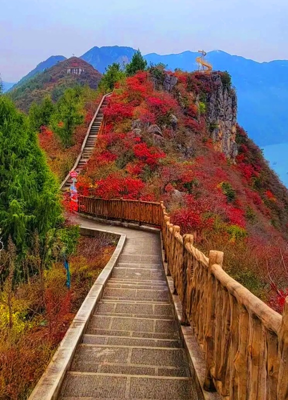 1761797232581617.jpg 三峡红叶40_dh.jpg