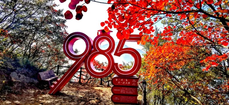 1761797264846478.jpg 三峡红叶44_dh.jpg