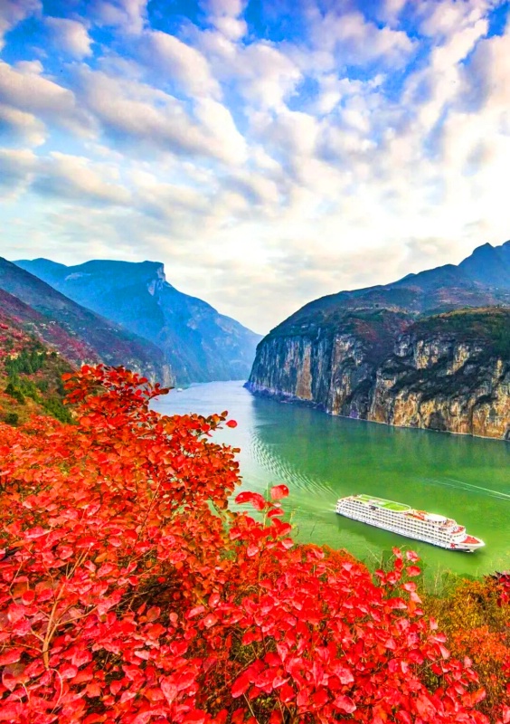 1761797288479761.jpg 三峡红叶4_dh.jpg