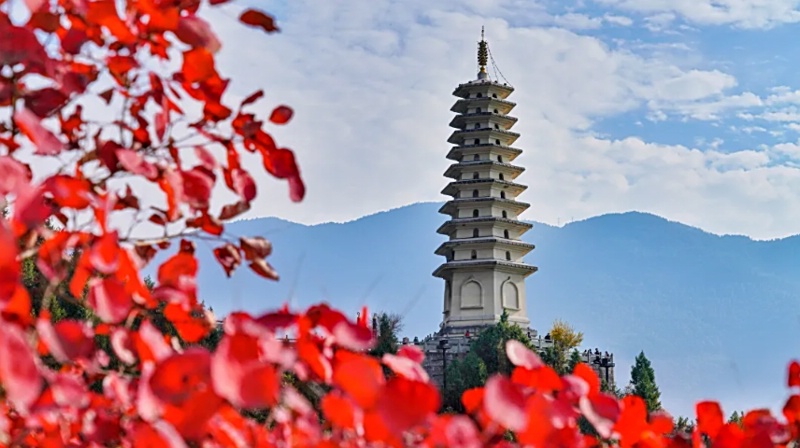 1761797441120544.jpg 三峡红叶47_dh.jpg