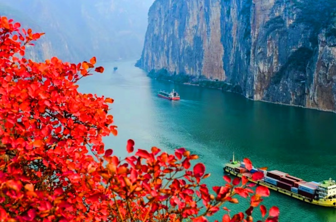 1761797505391589.jpg 三峡红叶15_dh.jpg