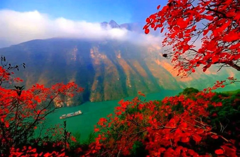 1761797528108612.jpg 三峡红叶8_dh.jpg