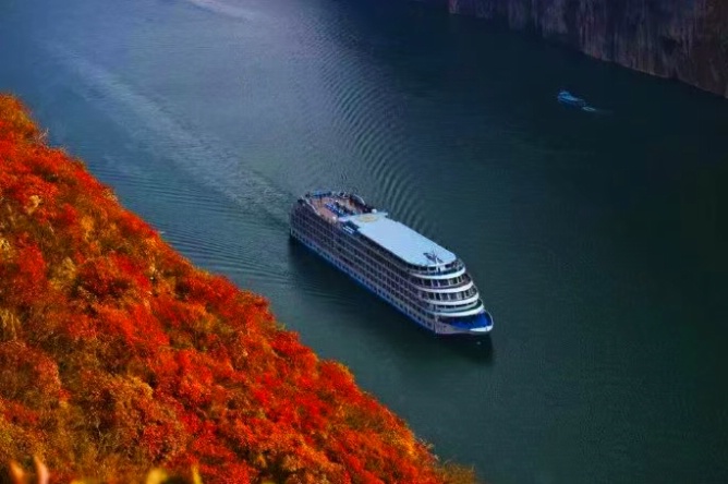 1761797550309828.jpg 三峡红叶22_dh.jpg