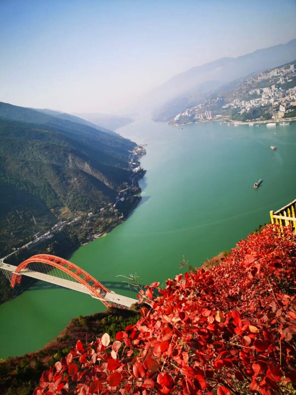 1761797579118449.jpg 三峡红叶6_dh.jpg