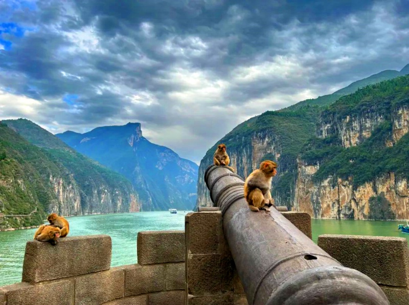 1761797798792645.jpg 三峡红叶7_dh.jpg