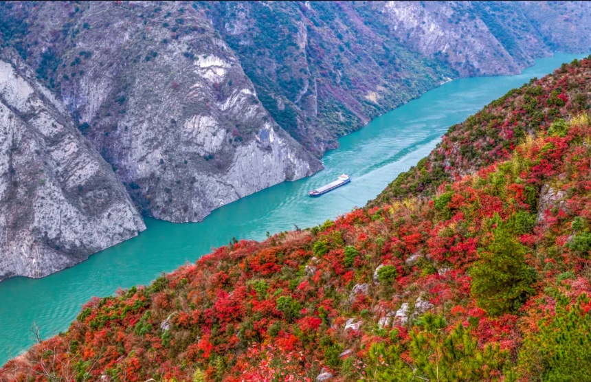 1761797918204573.jpg 三峡红叶82.jpg