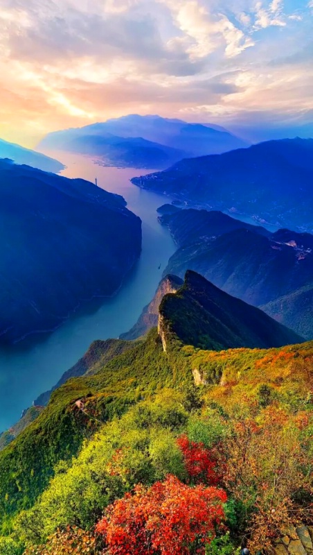 1761798106902204.jpg 三峡红叶52_dh.jpg