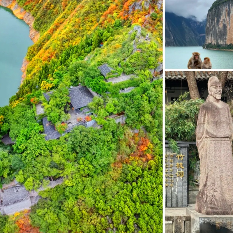 1761798200833869.jpg 三峡红叶53_dh.jpg