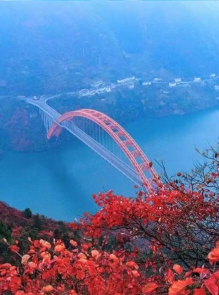 1761798345155258.jpg 三峡红叶58_dh.jpg