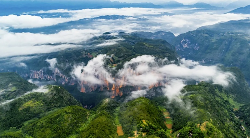 1761798374423863.jpg 三峡红叶59_dh.jpg