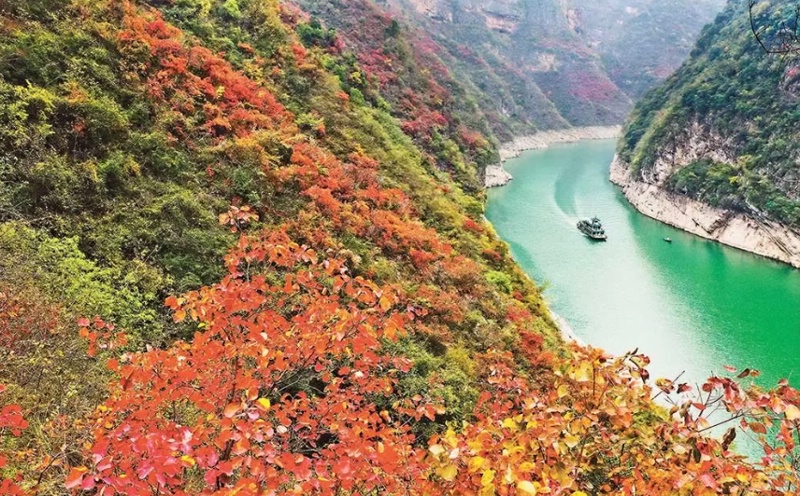 1761798633105694.jpg 三峡红叶61_dh.jpg