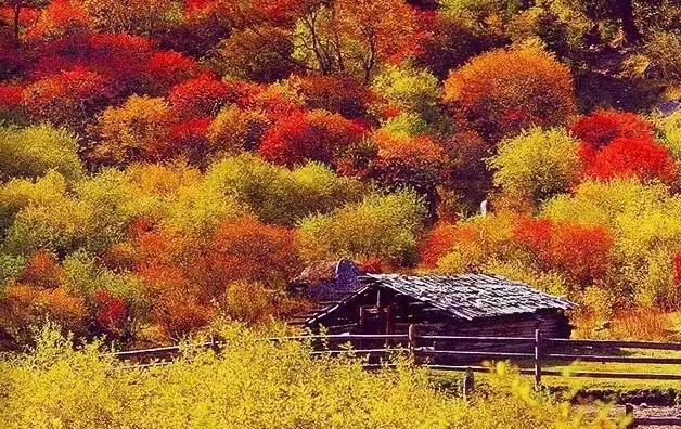 1762235414526407.jpg 拉姆湖1_dh.jpg