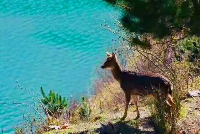 1762235469118006.jpg 拉姆湖12_dh.jpg