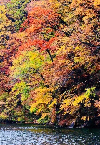 1762235549119761.jpg 拉姆湖11_dh.jpg