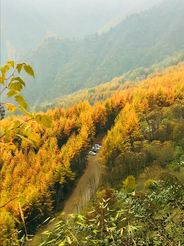 1762747249825779.jpg 熊猫坪花絮2_dh.jpg