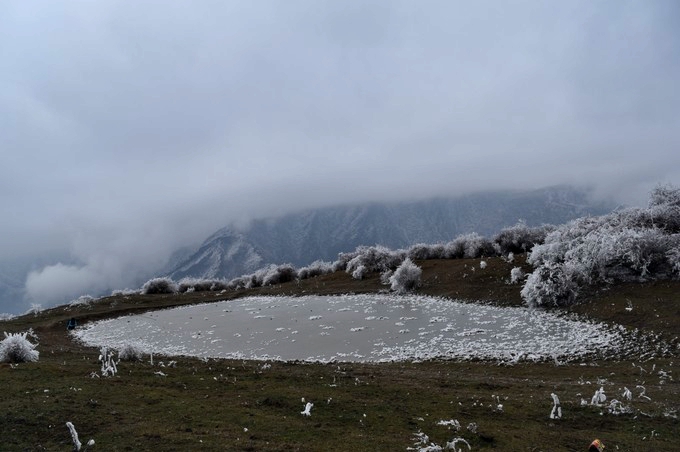 1762747376112665.jpg 熊猫坪18_dh_副本.jpg