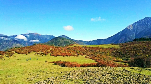 1762748125847769.jpg 熊猫坪17_dh_副本.jpg