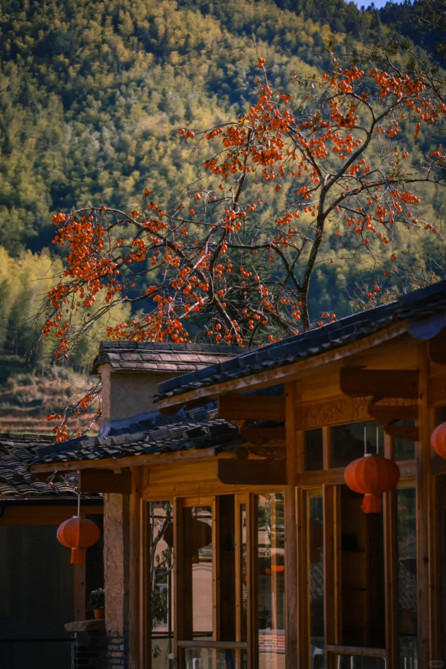 1762776329117416.jpg 霞浦15.jpg