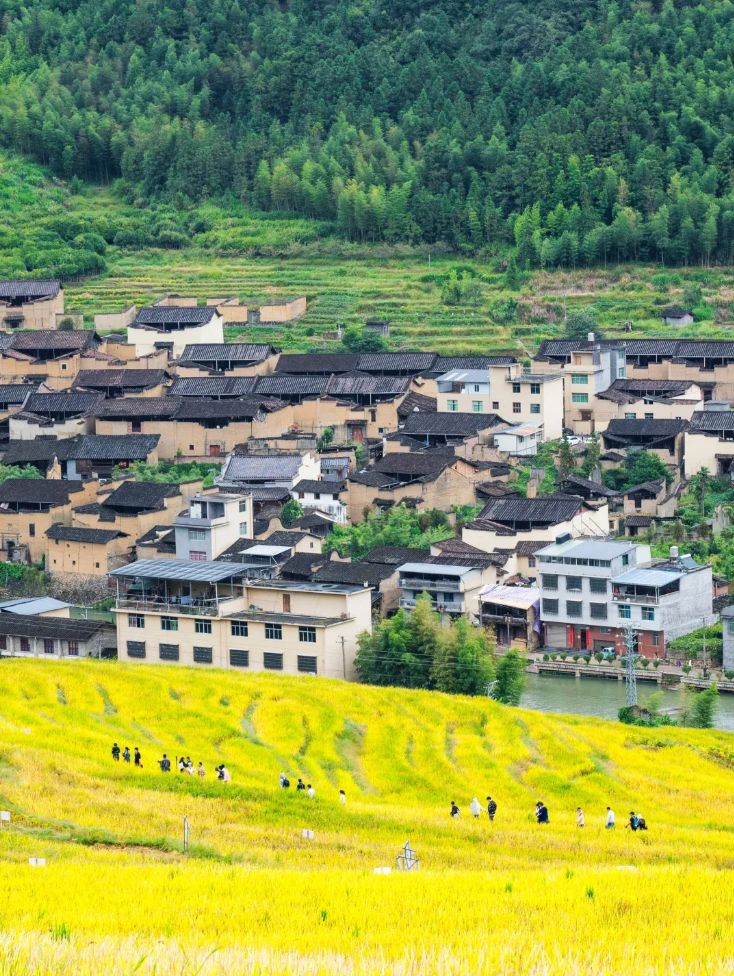 1762781168156506.jpg 霞浦28.jpg