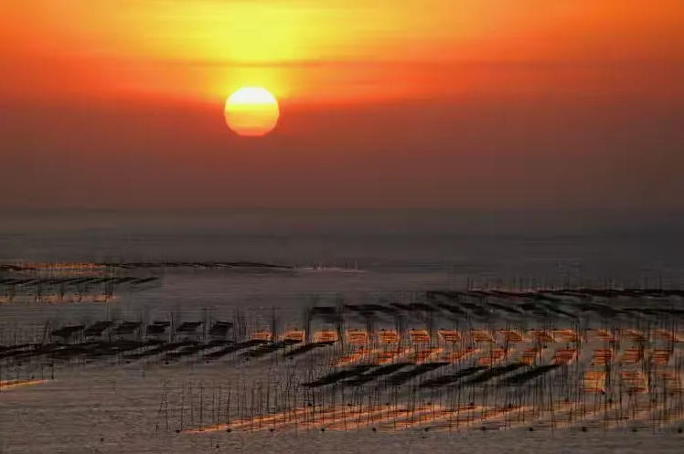 1762783711124805.jpg 霞浦54.jpg