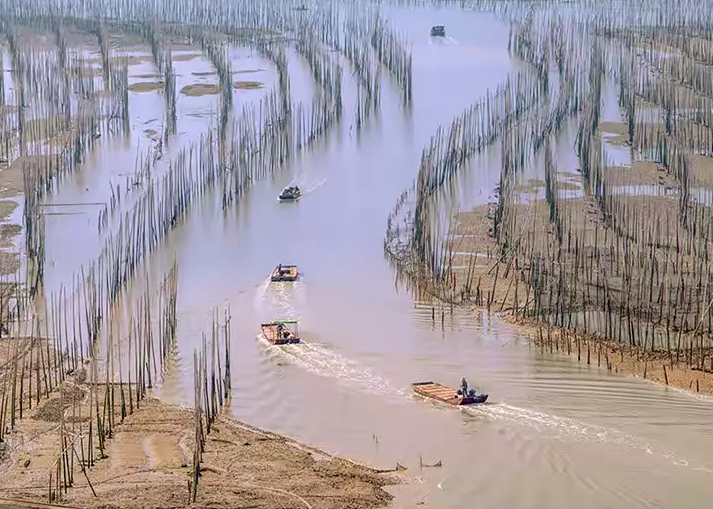 1762784605127696.jpg 霞浦70.jpg