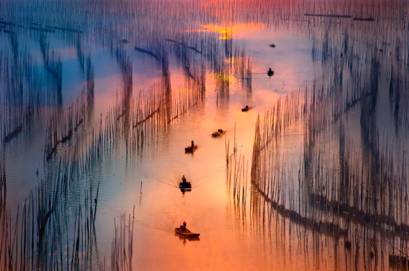 泯󺣣ů25124-14ո-ϹŴߺ-ϼ̲Ϳ-ƽ̶Ϻ11